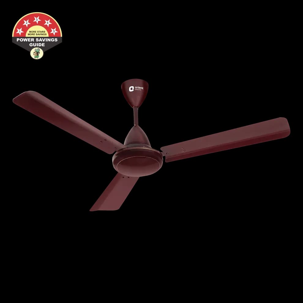 Hector - Orientelectric