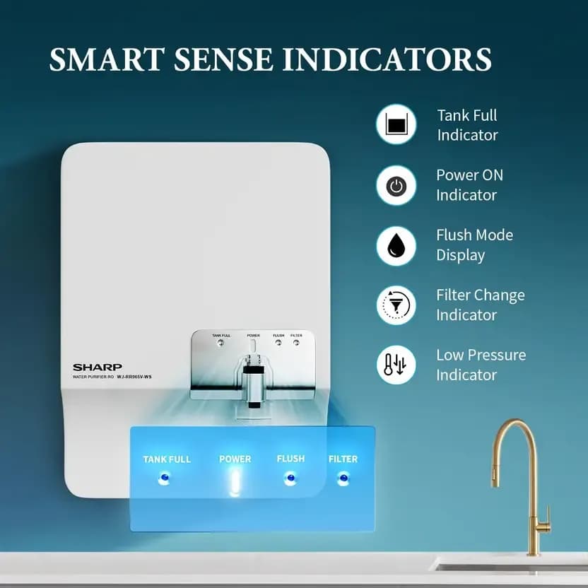 WJ-RR065V-WS (1).webp