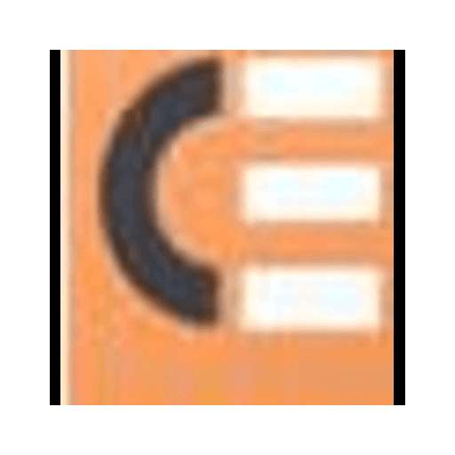 Chauhan Enterprises logo